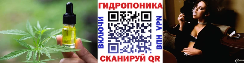 где купить наркоту  hydra ССЫЛКА  Печенье с ТГК марихуана  Кирсанов 