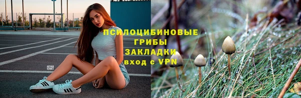гидропоника Надым