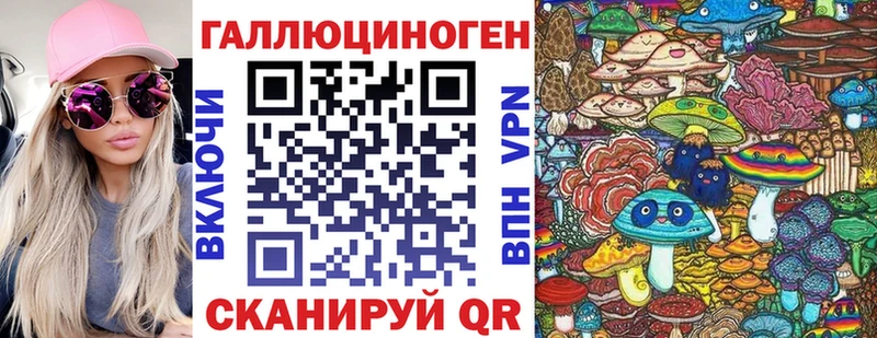 дарнет шоп  Кирсанов  Галлюциногенные грибы Psilocybine cubensis 